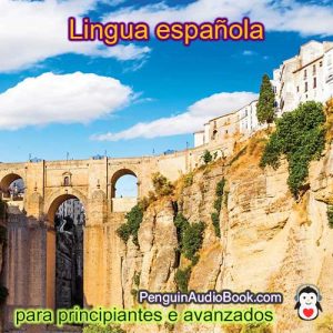 Guía e estudo do idioma español de xeito rápido e sinxelo co audiolibro, descarga, universidade, libro, curso, PDF, titorial, dicionario