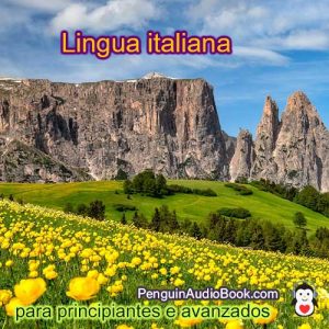 Guía e estudo do idioma italiano de xeito rápido e sinxelo co audiolibro, descarga, universidade, libro, curso, PDF, tutorial, dicionario