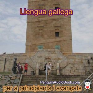 Guia i estudia la llengua gallega de manera ràpida i senzilla amb l’audiollibre, descàrrega, universitat, llibre, curs, PDF, tutorial, diccionari