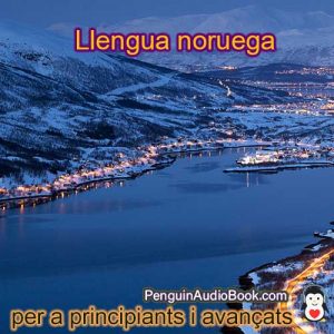 Guia i estudia l’idioma noruec de manera ràpida i senzilla amb l’audiollibre, descàrrega, universitat, llibre, curs, PDF, tutorial, diccionari