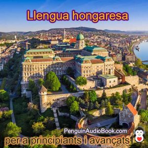 Guia i estudia l'idioma hongarès de forma ràpida i senzilla amb l'audiollibre, descàrrega, universitat, llibre, curs, PDF, tutorial, diccionari