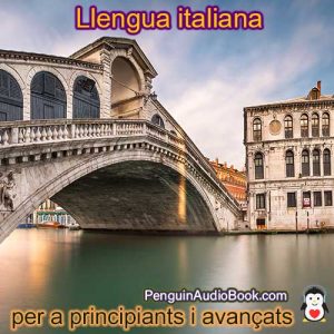 Guia i estudia l’idioma italià de forma ràpida i senzilla amb l’audiollibre, descàrrega, universitat, llibre, curs, PDF, tutorial, diccionari