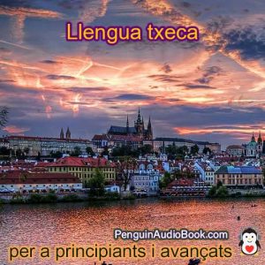 Guia i estudia l'idioma txec de forma ràpida i senzilla amb l'audiollibre, descàrrega, universitat, llibre, curs, PDF, tutorial, diccionari