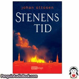 Lydbog Stenens tid Johan Ottosen download lytte podcast