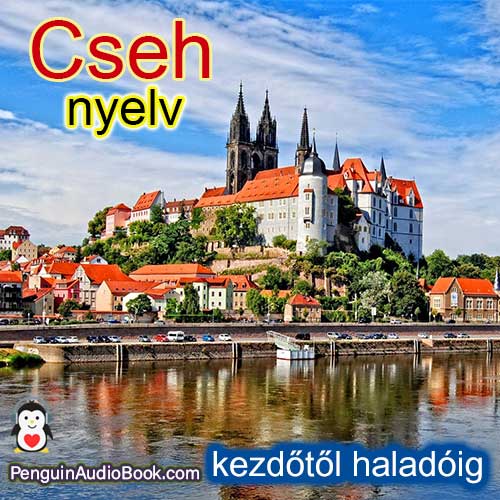 A végső útmutató kezdőknek és a cseh nyelvhez gyorsan és egyszerűen a hangoskönyv, letöltés, egyetem, könyv, tanfolyam segítségével