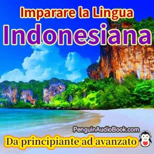 La guida definitiva per i principianti e per imparare l'indonesiano rapidamente e facilmente con il download di audiolibri del corso di libri universitari book