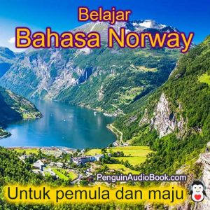 Panduan dan pelajari bahasa Norway dengan cepat dan mudah dengan buku audio, muat turun, universiti, buku, kursus, PDF, tutorial, kamus