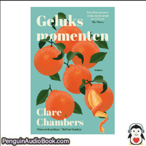 Luisterboek Geluksmomenten Clare Chambers downloaden luister podcast online boek