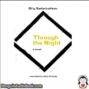 Luisterboek Through the night downloaden-Stig Saeterbakken & Sean Kinsella downloaden luister podcast online boek