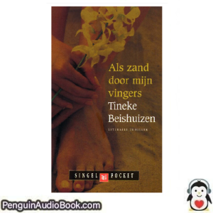 Luisterboek Als zand door mijn vingers Tineke Beishuizen downloaden luister podcast online boek