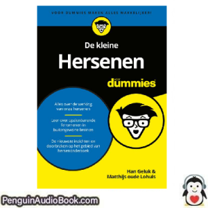 Luisterboek De kleine Hersenen voor dummies Matthijs oude Lohuis_ Han Geluk downloaden luister podcast online boek