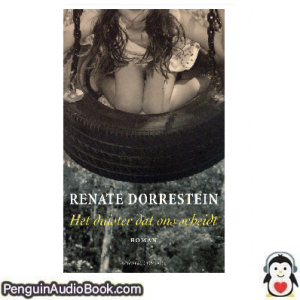 Luisterboek Het duister dat ons scheidt Renate Dorrestein downloaden luister podcast online boek