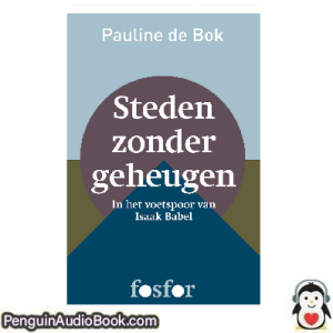 Luisterboek Steden zonder geheugen Pauline de Bok downloaden luister podcast online boek