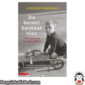 Luisterboek De hemel bestaat niet Jannetje Koelewijn downloaden luister podcast online boek