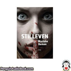 Luisterboek Stilleven Marieke Damen downloaden luister podcast online boek