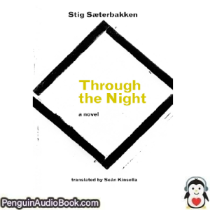 Lydbok Through the night Stig Saeterbakken nedlasting lytte podcast på net bok