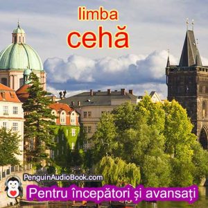 Ghidul pentru învățarea limbii cehe rapid și ușor cu audiobook, descărcare, universitate, carte, curs, PDF, tutorial, dicționar, începător, avansat