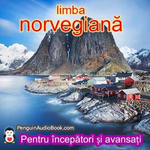 Ghidul pentru învățarea limbii norvegiene rapid și ușor cu audiobook, descărcare, universitate, carte, curs, PDF, tutorial, dicționar