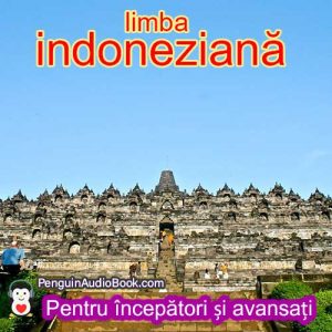 Ghidul final pentru începători și în limba indoneziană rapid și ușor cu audiobook, descărcare, universitate, carte, curs, PDF, tutorial, dicționar