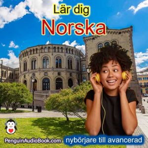 Lär dig norska från nybörjare till avancerade, ladda ner enkla universitetskurser gratis