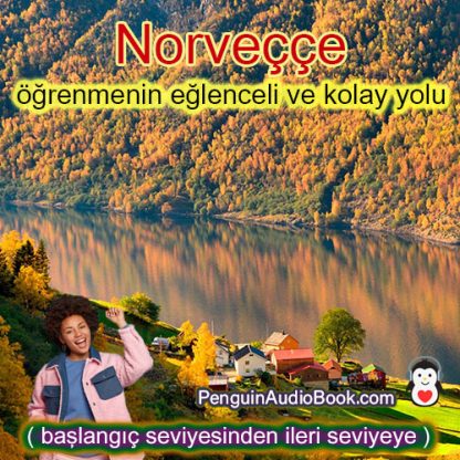 Yeni başlayanlardan ileri seviyeye kadar Norveççe öğrenmek için nihai ve kolay rehber,Norveç dilini öğrenmek için sesli kitap