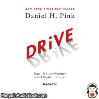 Sesli kitap Drive Daniel H. Pink indir dinle dijital ses dosyası kitap